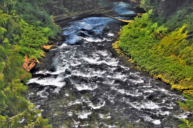 river scene